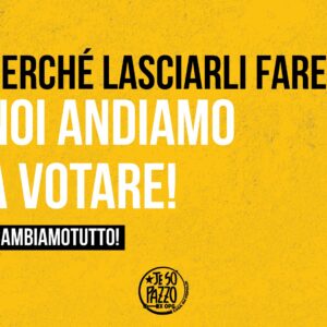 Perché lasciarli fare? Noi andiamo a votare!
